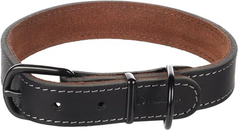 Flamingo Hundehalsband Montana aus Leder Schwarz Größe M/L 38,5-48,5 cm – Bild 1 von 5