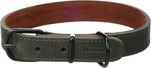 Flamingo Hundehalsband Montana Leder Grün Größe L 43,5-53,5cm – Bild 1 von 3