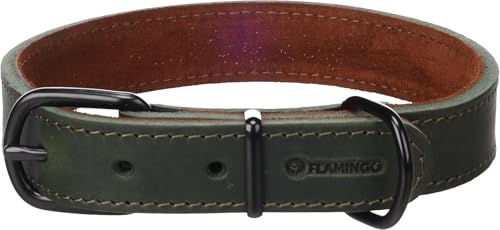 Flamingo Hundehalsband Montana Leder Grün Größe L – Bild 1 von 3