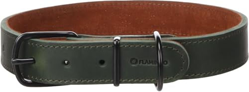 Flamingo Hundehalsband Montana Leder Grün XXL für Riesenrassen – Bild 1 von 3