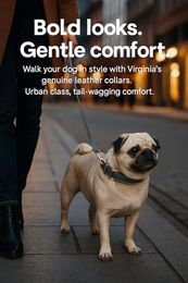 Flamingo Hundehalsband Virginia aus Leder in Hellblau mit Gold-Elementen Größe L 43-53cm – Bild 1 von 6