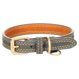 Flamingo Hundehalsband Virginia Grau aus Leder Größe XS – Bild 1 von 5
