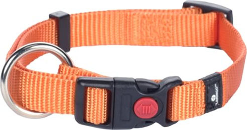 Flamingo Hundehalsband Ziggi Orange Nylon Größe S – Bild 1 von 4