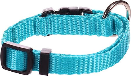 Flamingo Hundehalsband Ziggi Türkis Nylon XXS 15-25cm mit Zugentlastung – Bild 1 von 2