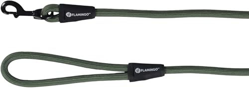 Flamingo Hundeleine Cami Grün aus Nylon mit schwarzem Karabiner 130 cm x 12 mm – Bild 1 von 2