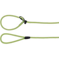 Produktbild von Flamingo Hundeleine Eros Grün verstellbare Anti-Zug-Leine aus Nylon mit Safety-Stop 170 cm x 10 mm