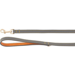 Flamingo Hundeleine Virginia aus Leder in Grau mit goldfarbenen Details 130 cm - 130 cm – Bild 1 von 4