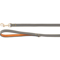 Produktbild von Flamingo Hundeleine Virginia aus Leder in Grau mit goldfarbenen Details 130 cm - 130 cm