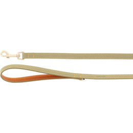 Flamingo Hundeleine Virginia aus Leder in Grün mit goldfarbenem Karabinerhaken 130 cm - 130 cm – Bild 1 von 4