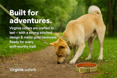 Flamingo Hundeleine Virginia Gelb aus Leder mit goldfarbenem Karabinerhaken 130cm – Bild 1 von 4