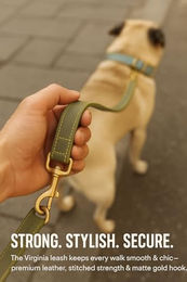 Flamingo Hundeleine Virginia Leder hellblau mit goldfarbenem Karabinerhaken 130cm – Bild 1 von 3