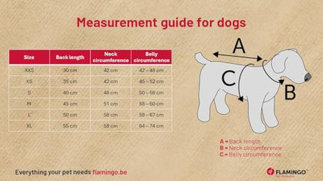 Flamingo Hundemantel Cujo Winter Grün wasserabweisend Polyester Größe M – Bild 1 von 3