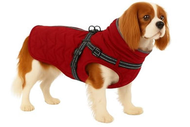 Flamingo Hundemantel Duker Winter Rot wasserabweisend 40cm – Bild 1 von 5