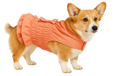 Flamingo Hundemantel Esther Winter lachsrosa wasserabweisend aus Polyester – Bild 1 von 2