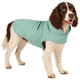 Flamingo Hundemantel Winter Tosca Mintgrün aus Polyester mit wasserabweisender Funktion und Rückenlänge 45 cm – Bild 1 von 2