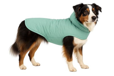 Flamingo Hundemantel Winter wasserabweisend aus Polyester in Tosca Mintgrün – Bild 1 von 2
