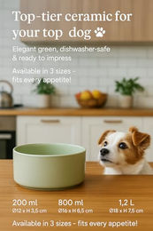 Flamingo Hundenapf aus Keramik in Lichtgrün für mittelgroße Hunde 800ml - 800 ml – Bild 1 von 4