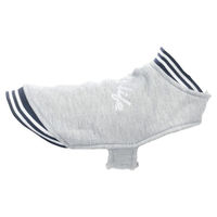 Produktbild von Flamingo Hundepullover Lamar grau Rückenlänge 30 cm