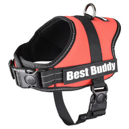 Flamingo Hundeschirr Best Buddy Pluto Rot Größe S aus Nylon – Bild 1 von 3