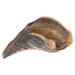 Flamingo Hundesnack Nature Kuhhuf aus Rind glutenfrei und ohne Zuckerzusatz 50 Stück – Bild 1 von 4
