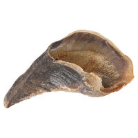 Produktbild von Flamingo Hundesnack Nature Kuhhuf aus Rind glutenfrei und ohne Zuckerzusatz 50 Stück