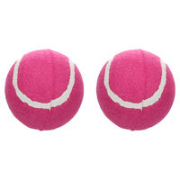 Produktbild von Flamingo Hundespielzeug Smash Tennisball aus Gummi rosa 2 Stück Ø 7,6 cm