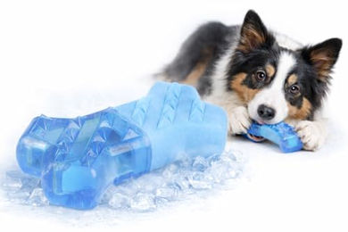 Flamingo Hundespielzeug Snowy Bone aus TPR Gummi blau 13,3 cm kühlender Effekt – Bild 1 von 5