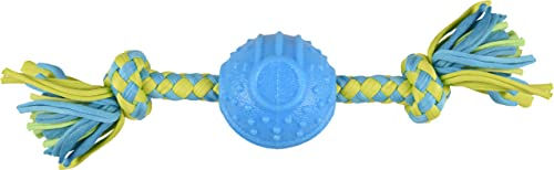 Flamingo Hundespielzeug TPR Spector Ball Blau Grün – Bild 1 von 3