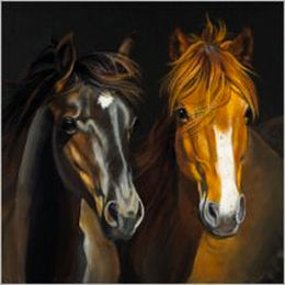 Flamingo Karte Ponys 13,7 x 13,7 cm – Bild 1 von 1