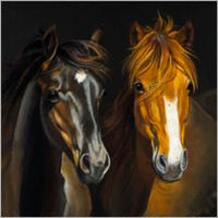Produktbild von Flamingo Karte Ponys 13,7 x 13,7 cm