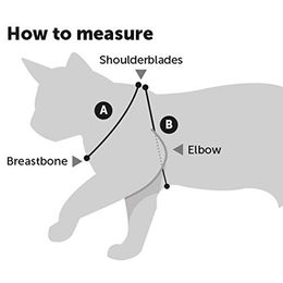 Flamingo Kätzchen Geschirr mit Leine Ziggi Kirschrot 120 cm verstellbares Nylon - 120 cm – Bild 1 von 3