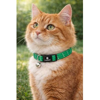 Produktbild von Flamingo Katzenhalsband Elza Grün Reflektierendes Nylon mit Glöckchen 20–34 cm