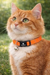 Flamingo Katzenhalsband Elza Orange Reflektierendes Nylon mit Glöckchen 20–34 cm – Bild 1 von 6