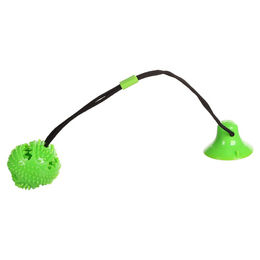 Flamingo Kleva Ball Hundespielzeug aus TPR mit Saugnapf Grün 55cm – Bild 1 von 7