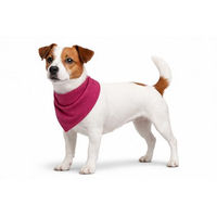 Produktbild von Flamingo Kühlbandana Fresk Inou Hund Halstuch Rosa Größe S