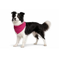 Produktbild von Flamingo Kühlbandana Fresk Inou Hundehalstuch Rosa Größe M 70x25 cm aus atmungsaktivem Polyester