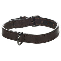 Produktbild von Flamingo Leder Halsband Denver Braun Größe S/M Breite 20 mm
