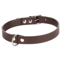Flamingo Lederhalsband Braun – Bild 1 von 2