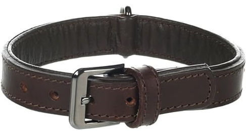 Flamingo Lederhalsband Denver mit Nieten Braun Größe M-L 30mm – Bild 1 von 4