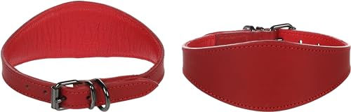 Flamingo Lederhalsband für Windhunde Denver Rot Größe M 55mm – Bild 1 von 4