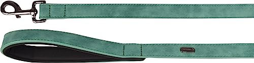 Flamingo Leine Delu aus Kunstleder in Grün 130 cm x 25 mm - 130 cm – Bild 1 von 2