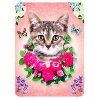 Produktbild von Flamingo Magnet für Katzen