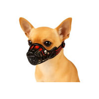 Produktbild von Flamingo Maulkorb Silas für kleine Hunde in Schwarz Größe XS