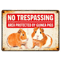 Produktbild von Flamingo Metallschild No Trespassing Area Protected by Guinea Pigs für Meerschweinchenfans 14,8x21cm