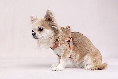 Flamingo Norweger-Geschirr Elly Lachsrosa Größe M 52-65cm – Bild 1 von 3