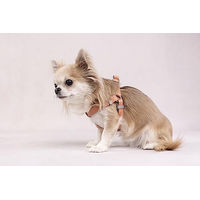 Produktbild von Flamingo Norweger-Geschirr Elly Lachsrosa Größe M 52-65cm