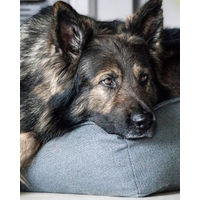 Produktbild von Flamingo Orthopädisches Hundebett Baldar Gelb 80 cm Ergonomischer Schlafplatz für Senior Hunde - 80 cm