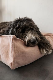 Flamingo Orthopädisches Hundebett Baldar mit Memory Foam für Senior Hunde Rosa 80 cm – Bild 1 von 6
