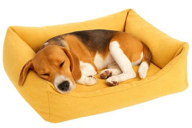 Flamingo Orthopädisches Hundebett Baldar mit Memory Foam Gelb 65 cm - 65 cm – Bild 1 von 4