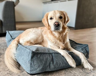 Flamingo Orthopädisches Hundekissen Reno mit Memory Foam Hellblau 80 cm – Bild 1 von 4